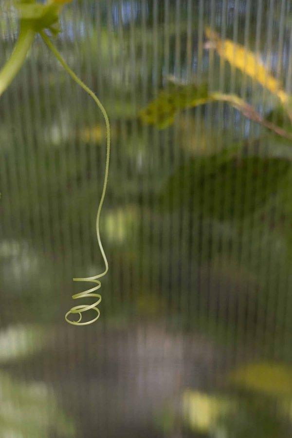 How Can Real Estate Developers Plan for the Long-Term Effects of Climate Change on Property Locations?