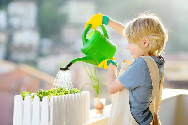 What Are the Best Self-Watering Systems for Indoor Tropical Plants?